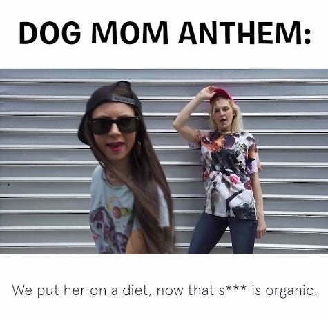 dog mom rap dog mom rap